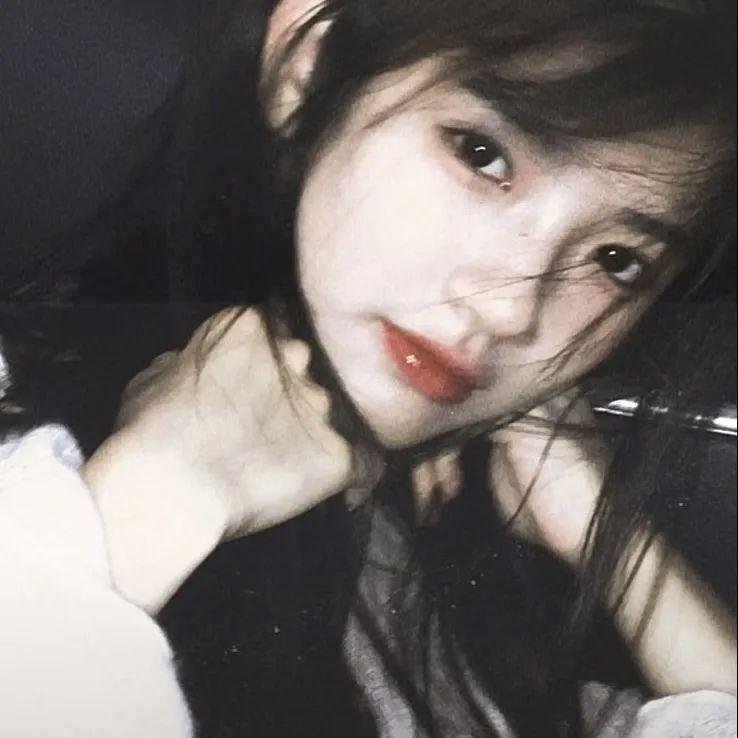 海豚伯尼2
