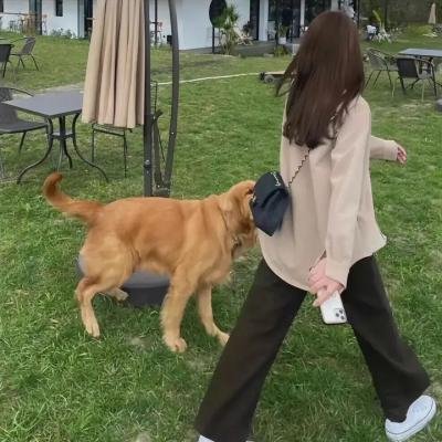 无痛侠